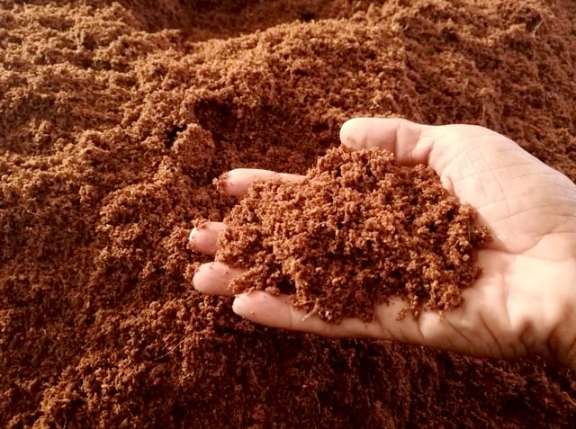 Cocopeat