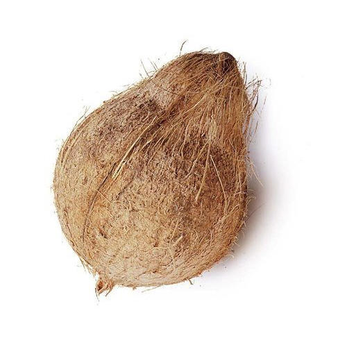 semi-husked-coconut